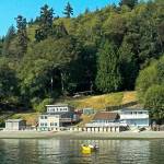 A cluster of homes with bulkheads on the waterfront on Vashon (Paul Rowley/Staff Photo).