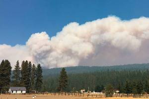 Learn how to reduce wildfire threats to property