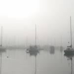 Art appreciation: Ray Pfortner shares 25 years of memories