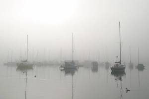 Art appreciation: Ray Pfortner shares 25 years of memories