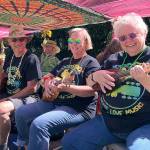 Strawberry Festival draws crowd for old favorites, new twists | Slideshow