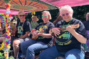 Strawberry Festival draws crowd for old favorites, new twists | Slideshow