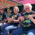 Strawberry Festival draws crowd for old favorites, new twists | Slideshow