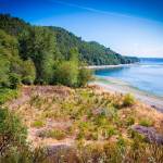 King County will begin capping trails in Maury Island Natural Area later this month (Courtesy Photo).