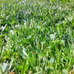 Park district renovates Agren