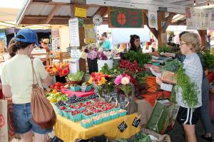 Summer’s harvest fills the market