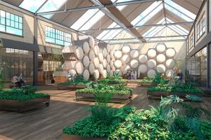 Human composting entrepreneur to speak on island