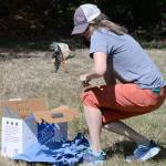 Local wildlife rescue runs on volunteer power