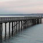 Future of historic dock rests on community