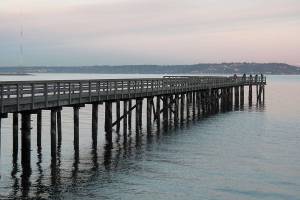 Future of historic dock rests on community