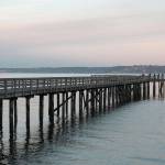 The Tramp Harbor dock, popular with islanders and visitors, is in poor condition and needs to be removed. (Paul Rowley Photo)