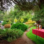 (Kent Phelan Photo).