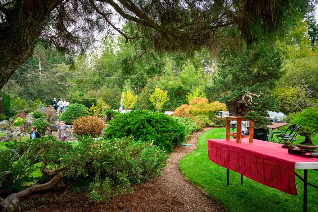 (Kent Phelan Photo).