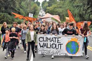 Islanders strike to demand action on climate