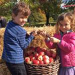 CiderFest includes record number of apples this year