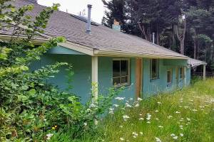 Vashon HouseHold updates development progress