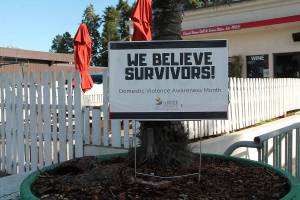 Island businesses shine light on domestic violence