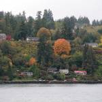 A hillside overlooking Puget Sound on the north end of the island. Geologists have concluded for some time that most of Vashons shorelines are at risk of landslides (Paul Rowley/Staff Photo).