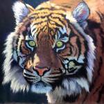 Debra Cepedas pastel portrait of a tiger will be on view at Vashon Center for the Arts (Courtesy Photo).
