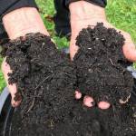Local compost group to screen soil film