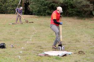 Histories converge at evolving skatepark