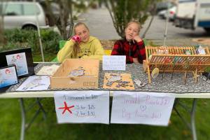 Studio tour to include debut of new puzzle art