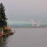 The Port of Tacoma in the distance as seen from the Tahlequah ferry dock (Paul Rowley/Staff Photo).