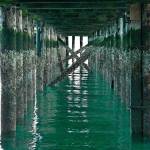 Islanders, park district consider help for dock