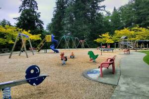 Fundraiser for park project underway