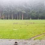 Detective investigating Agren field vandalism