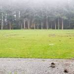 The Agren Memorial Park field was significantly damaged as a result of vandalism last month (Vashon Park District Photo).