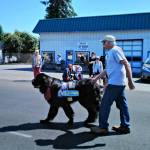 Goliath, therapy dog and island unofficial mayor, dies