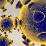 An islander fell ill — but couldn’t get tested