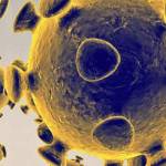 An islander fell ill — but couldn’t get tested