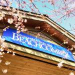 Some Beachcomber staff furloughed amid company-wide layoffs
