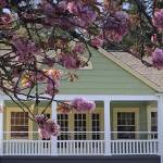 As the garden blooms — get ready, get set, haiku — you could win a prize