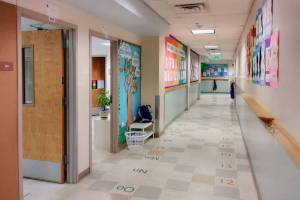 Day by day, island families, educators face major transition