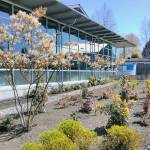 What’s Happening April 16 - 23