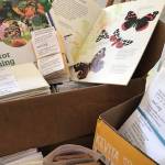 Vashon certified as wildlife habitat community