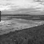Point Heyer (KVI) Marsh (Terry Donnelly Photo).