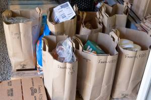 Vashon Emergency Operations Center COVID-19 Pandemic Situation Reports