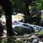 More people are experiencing homelessness in the county