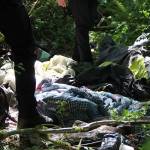 King County Sheriffs Deputies walk through an encampment in Island Center Forest in 2018 (Paul Rowley/Staff Photo).