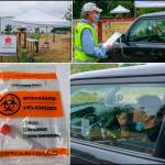 The community team running our island testing program has been averaging 50 to 60 tests per week over the past month. Three Community Emergency Response Team (CERT) volunteers check patients in and direct them to the doctor-supervised in-car testing slot (top left, top right). CERT is supporting three Medical Reserve Corps (MRC) volunteers who supervise the patients who collect their own samples inside the car with windows rolled up for safety (bottom right). As demand requires, the operation can take test samples (bottom left) from 25 patients in the normal daily appointment window. The recent shift to a new lab has been a success, with results being reported to patients within 48 hours (except over the weekend). To be screened for a doctors order, or to make an appointment if you have a doctors order, call (844) 469-4554 (Photos by Michelle Bates and Dr. Jim Bristow).