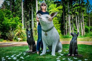 Our Town: Elaine Summers still wants to tile the town