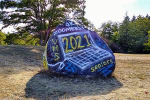 As schools prepare for online learning, parents speak up