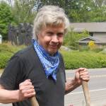 Think of Bees Before Using Harmful Chemicals