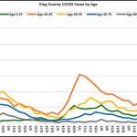 Graph courtesy PHSKC and Vashon EOC
Taking King County as a whole, the sharp rise in new COVID-19 infections has been especially strong among 20- to 39-year olds, followed by the 40- to 59-year olds, as shown on this graph. Although seniors who fall ill tend to have more severe effects, all ages can and do contract the disease.