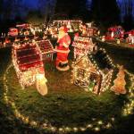 Frank and Alexis Daniels didnt start out intending to create a big Christmas landscape in their front yard. It began with a couple of items around twelve years ago, Frank says, but gradually expanded until, five years ago, when it kind of got out of control (Phil Clapham Photo).