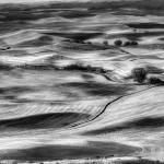 Michael Elenkos photograph, West, Steptoe Butte was chosen for a national juried show at the Midwest Center for Photography (Michael Elenko Photography).